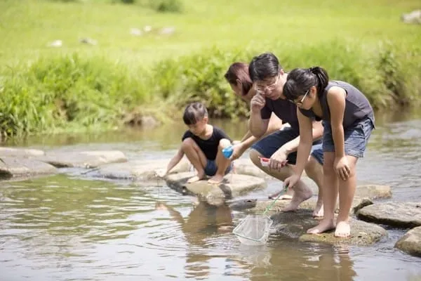 Học Cách Người Nhật Dạy Kỹ Năng Sống Cho Trẻ Em: Bản Lĩnh Từ Sự Tự Lập