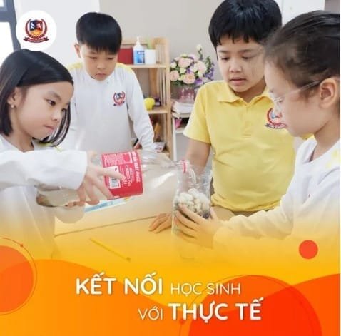 Chọn Trường Cho Con: Đâu Mới Là Điều Quan Trọng Nhất? – Cùng Vietskill Giải Mã - VietSkill