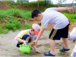 Hành Trình Khám Phá Thiên Nhiên & Văn Hóa Ba Miền: Bứt Phá Bản Lĩnh Cùng Vietskill - VietSkill