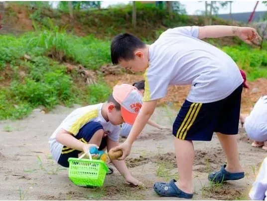 Hành Trình Khám Phá Thiên Nhiên & Văn Hóa Ba Miền: Bứt Phá Bản Lĩnh Cùng Vietskill - VietSkill