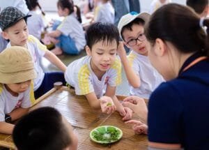 Học Sinh Khối 2 Trải Nghiệm Nghề Nghiệp Truyền Thống: Khơi Gợi Bản Lĩnh Cùng Vietskill - VietSkill