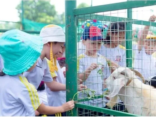 Smart Team Khối 3: Vận Động Thông Minh & Kết Tinh Đội Nhóm Cùng Vietskill - VietSkill