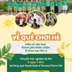 Trại Hè Kỹ Năng 4N3Đ “Về Quê Chơi Hè”: Hành Trình Rèn Trí – Luyện Lực Cho Trẻ 8-14 Tuổi 3
