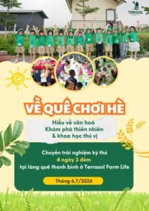 Trại Hè Kỹ Năng 4N3Đ “Về Quê Chơi Hè”: Hành Trình Rèn Trí – Luyện Lực Cho Trẻ 8-14 Tuổi 3