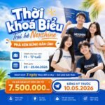 Trại Hè Kỹ Năng Vietskill 2026: 72H “Phá Kén” – Đánh Thức Bản Lĩnh Tự Tin Cho Trẻ 3